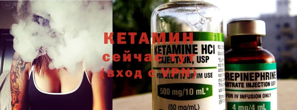 шишки Абаза