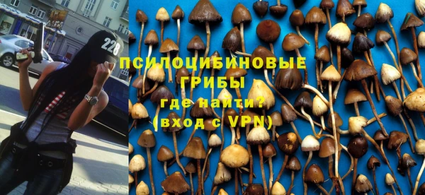 хмурый Алексеевка