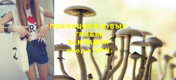 бошки Абинск